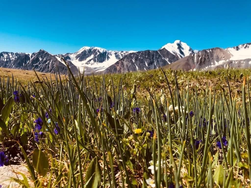 Altai Tavan Bogd Tour