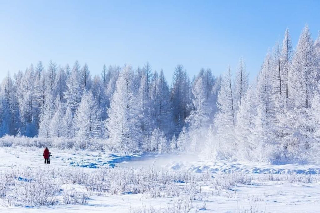 Mongolian winter