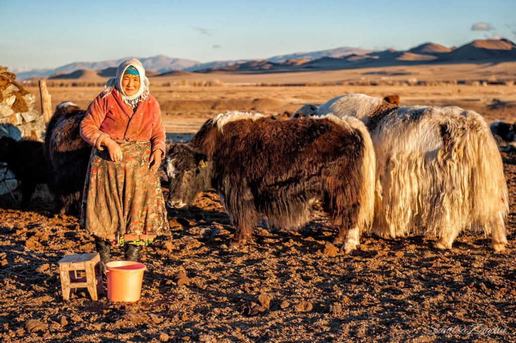 Western Mongolia and eagle festival tours