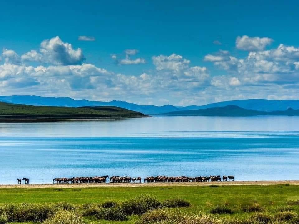 Lakes in Mongolia